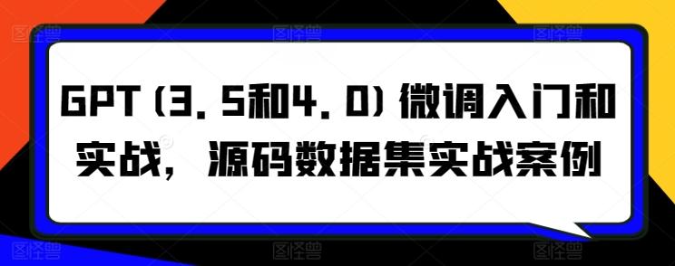 GPT(3.5和4.0)微调入门和实战，源码数据集实战案例-菜菜网创