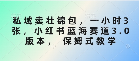 私域卖壮锦包，一小时3张，小红书蓝海赛道3.0版本， 保姆式教学-菜菜网创
