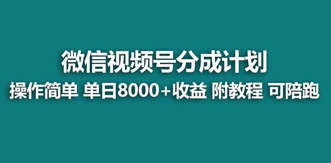 【蓝海项目】视频号分成计划最新玩法，单天收益8000+，附玩法教程，24年…-菜菜网创