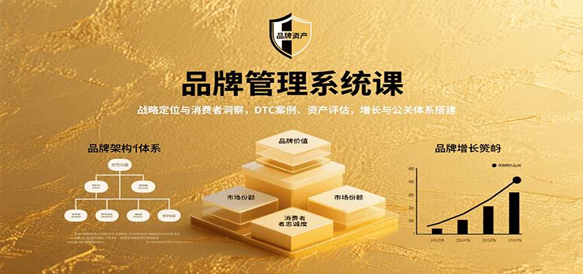 品牌管理系统课：战略定位与消费者洞察，DTC案例、资产评估，增长与公关体系搭建-菜菜网创