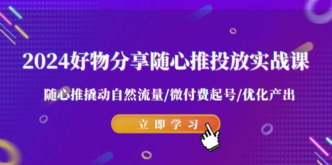 2024好物分享-随心推投放实战课 随心推撬动自然流量/微付费起号/优化产出-菜菜网创