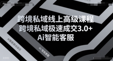 跨境私域线上高级课程，跨境私域极速成交3.0+Ai智能客服-菜菜网创