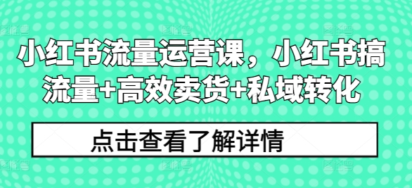小红书流量运营课，小红书搞流量+高效卖货+私域转化-菜菜网创