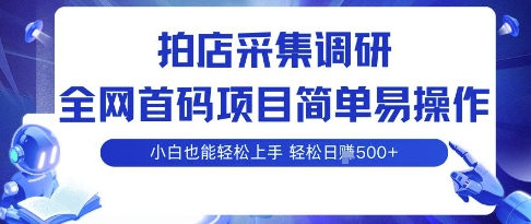 拍店采集调研，全网首码项目，简单易操作， 小白也能轻松上手，多账号操作，轻松日入5张【揭秘】-菜菜网创