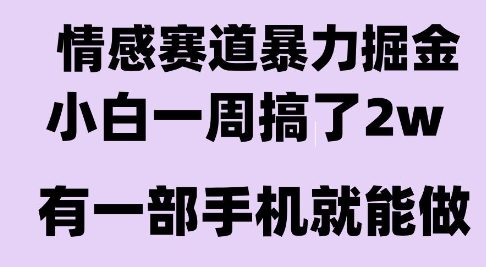 情感暴力掘金项目，新人操作一周挣了2W，长期稳定小白可做【揭秘】-菜菜网创