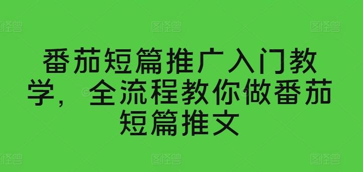 番茄短篇推广入门教学，全流程教你做番茄短篇推文-菜菜网创