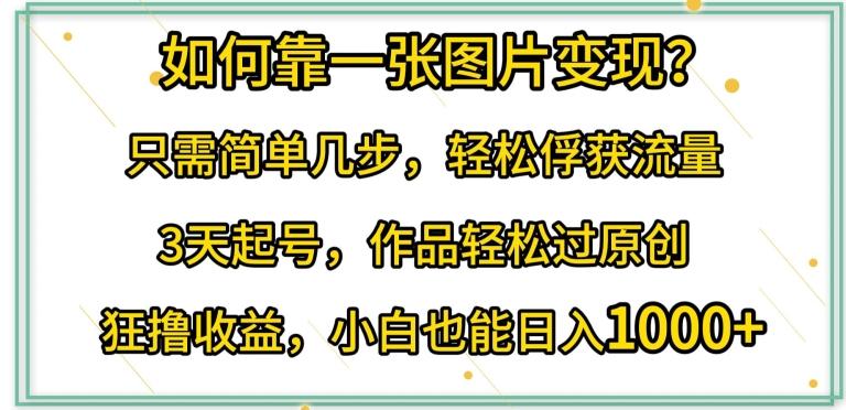 如何靠一张图片变现?只需简单几步，轻松俘获流量，3天起号，作品轻松过原创【揭秘】-菜菜网创