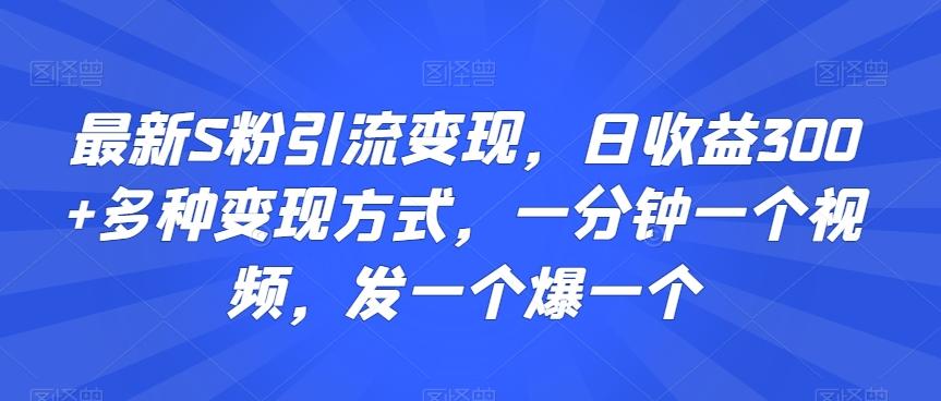 最新S粉引流变现，日收益300+多种变现方式，一分钟一个视频，发一个爆一个【揭秘】-菜菜网创