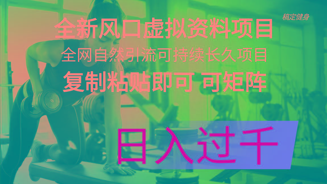 全新风口虚拟资料项目 全网自然引流可持续长久项目 复制粘贴即可可矩阵…-菜菜网创