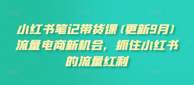 小红书笔记带货课(更新25年3月)流量电商新机会，抓住小红书的流量红利-菜菜网创