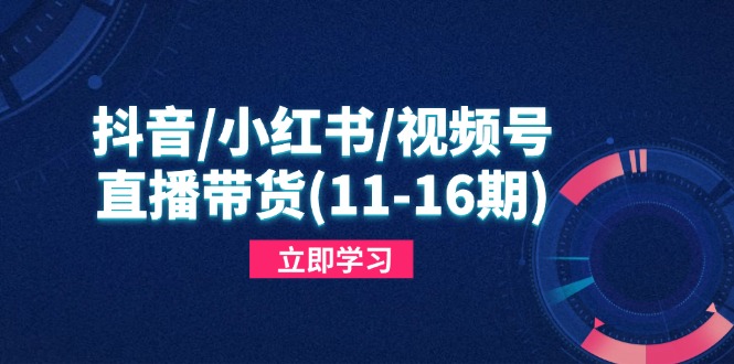 抖音/小红书/视频号/直播带货(11-16期-菜菜网创