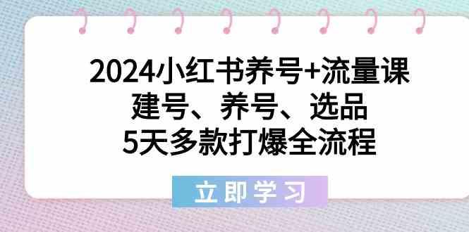 2024小红书养号+流量课：建号、养号、选品，5天多款打爆全流程-菜菜网创