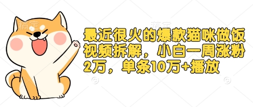 最近很火的爆款猫咪做饭视频拆解，小白一周涨粉2万，单条10万+播放(附保姆级教程)-菜菜网创