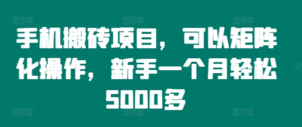手机搬砖项目，可以矩阵化操作，新手一个月轻松5000多-菜菜网创