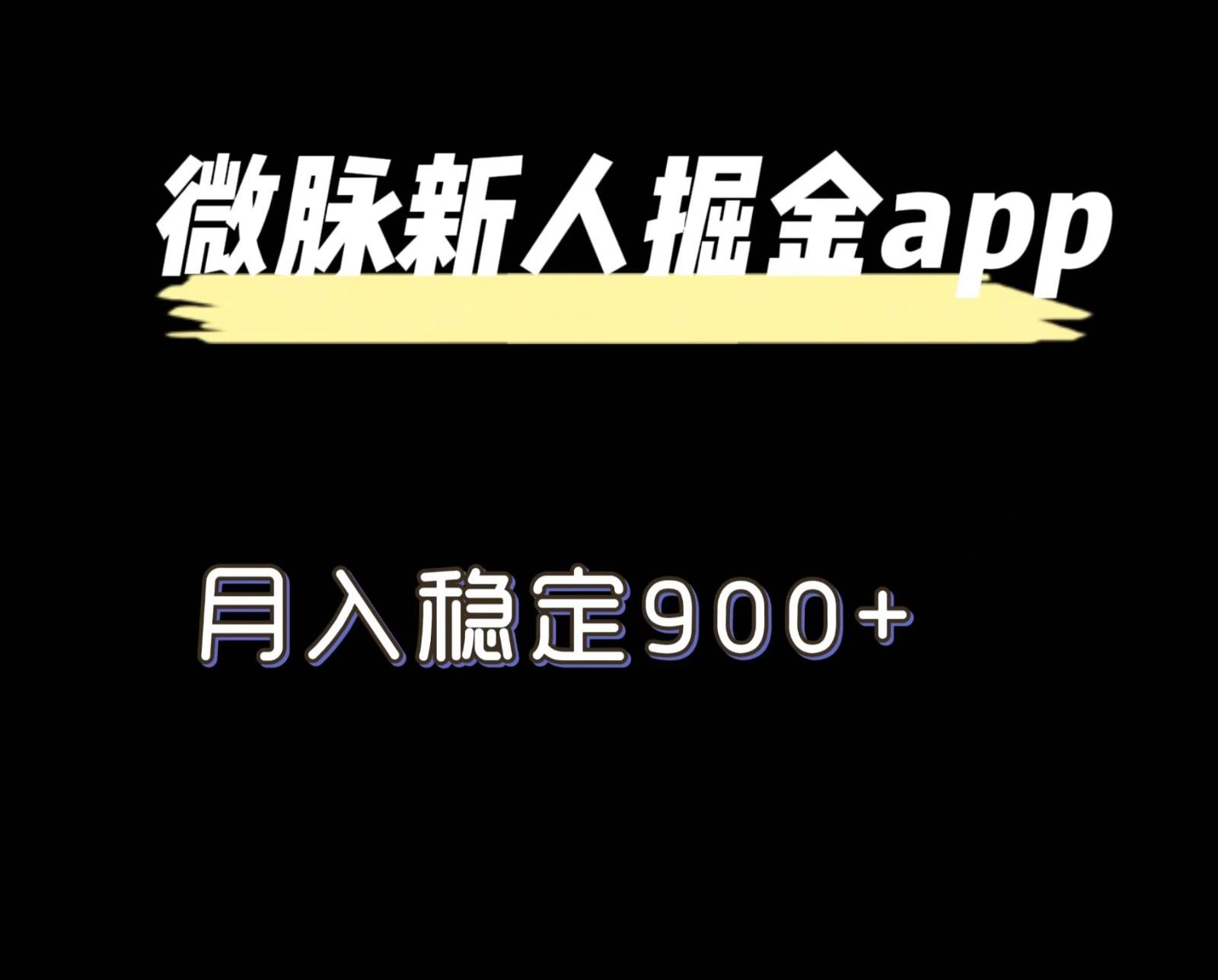 最新微脉长久项目，拉新掘金，月入稳定900+-菜菜网创
