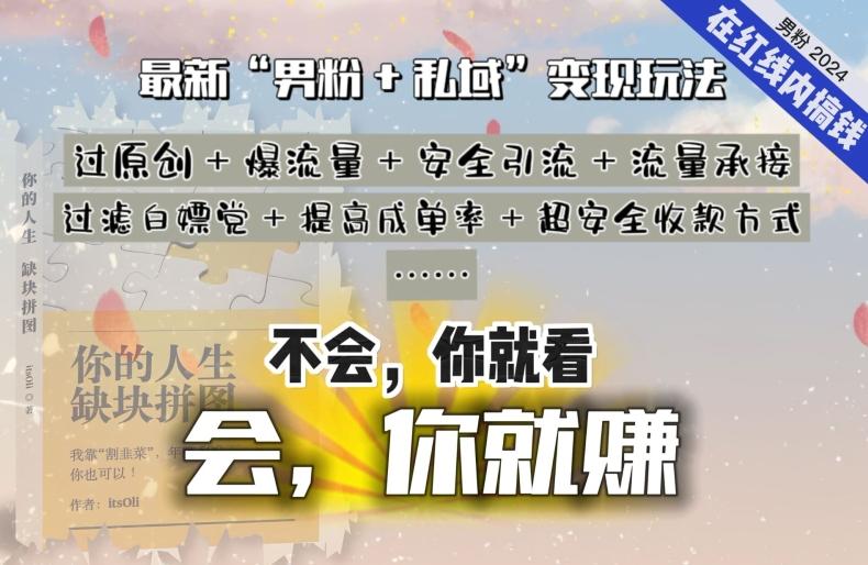 2024，“男粉+私域”还是最耐造、最赚、最轻松、最愉快的变现方式【揭秘】-菜菜网创