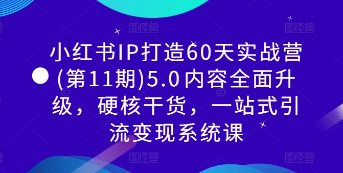 小红书IP打造60天实战营(第11期)5.0​内容全面升级，硬核干货，一站式引流变现系统课-菜菜网创