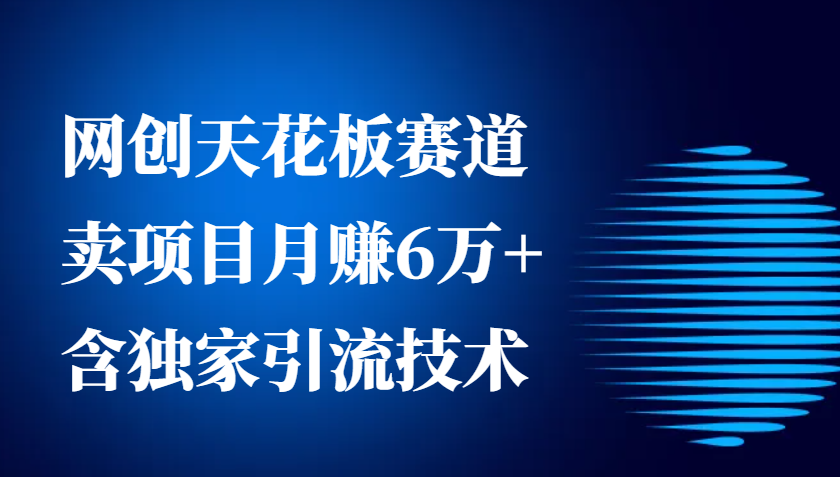 网创天花板赛道，卖项目月赚6万+，含独家引流技术(共26节课)-菜菜网创
