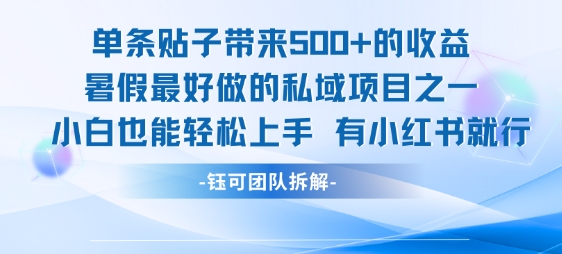 单条贴子带来5张的收益，暑假最好做的私域项目之一，小白也能轻松上手，有小红书就行-菜菜网创