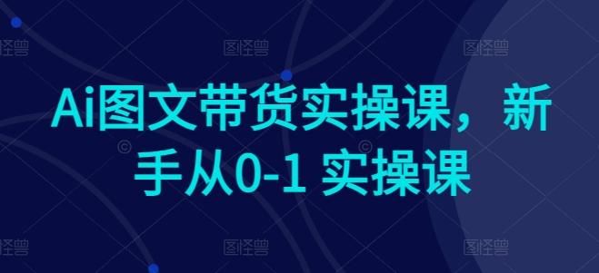 Ai图文带货实操课，新手从0-1 实操课-菜菜网创