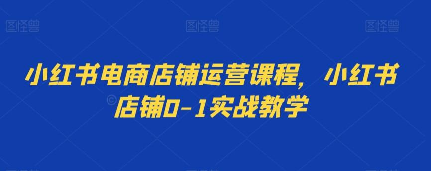 小红书电商店铺运营课程，小红书店铺0-1实战教学-菜菜网创