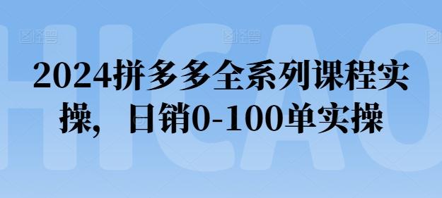 2024拼多多全系列课程实操，日销0-100单实操【必看】-菜菜网创