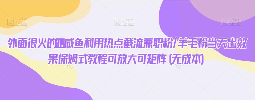 外面很火的2024咸鱼利用热点截流兼职粉/羊毛粉当天出效果保姆式教程可放大可矩阵(无成本)-菜菜网创
