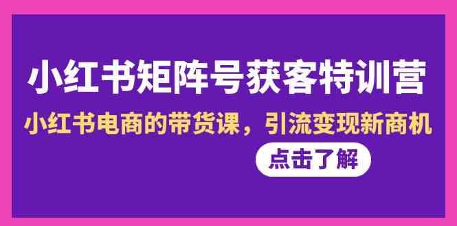 小红书矩阵号获客特训营-第10期，小红书电商的带货课，引流变现新商机-菜菜网创
