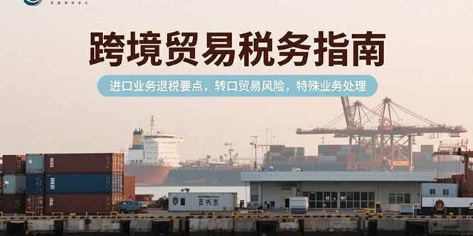 （15381期）跨境贸易税务指南，进口业务退税要点，转口贸易风险，特殊业务处理-菜菜网创