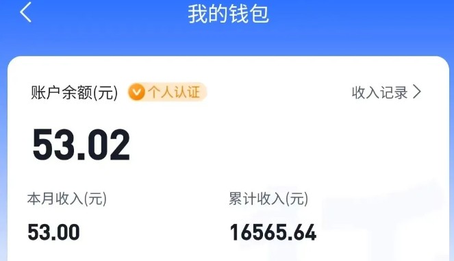 适合空闲时间操作的小红书低保项目，小红薯发布笔记，单个账号每天可获得2-12元左右-菜菜网创