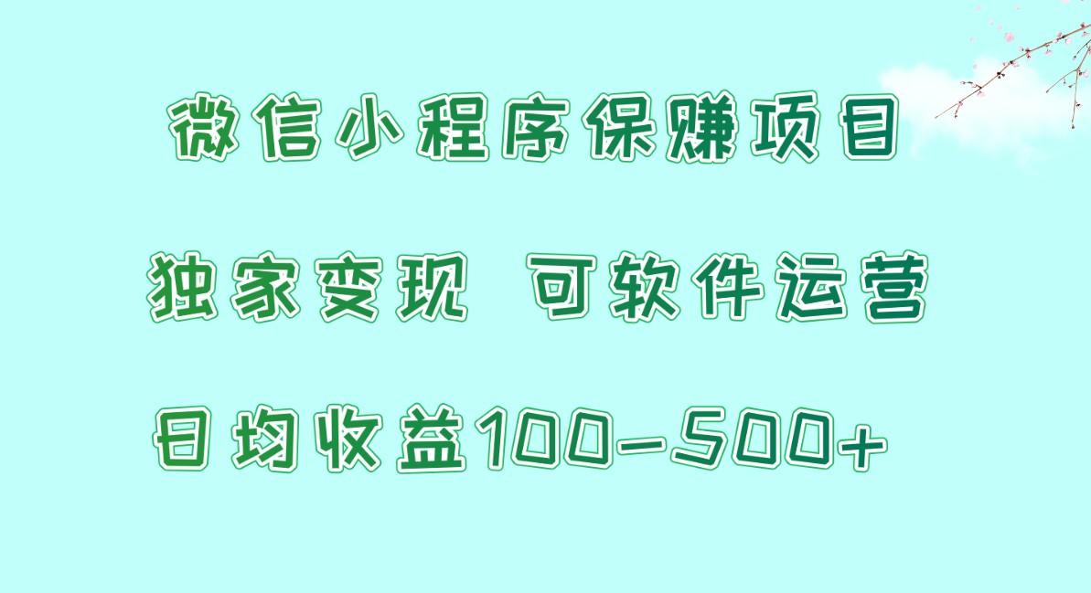 微信小程序保赚项目，日均收益100~500+，独家变现，可软件运营-菜菜网创