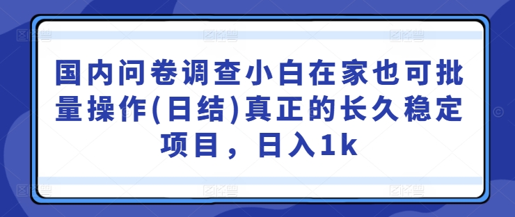 国内问卷调查小白在家也可批量操作(日结)真正的长久稳定项目，日入1k【揭秘】-菜菜网创