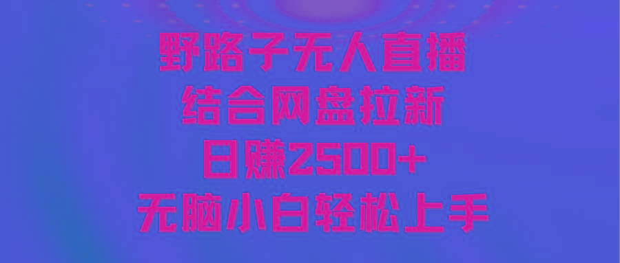 无人直播野路子结合网盘拉新，日赚2500+多平台变现，小白无脑轻松上手操作-菜菜网创