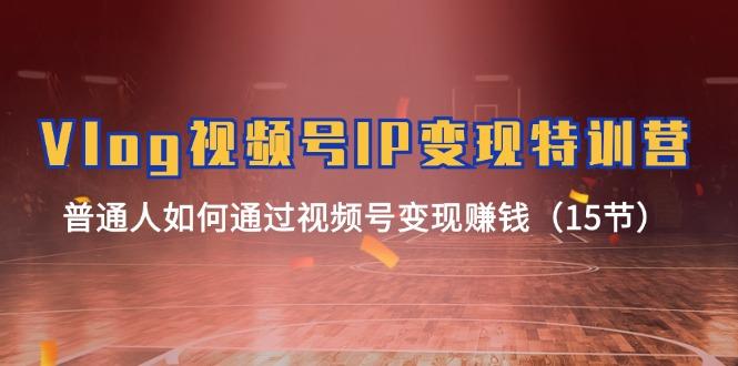 Vlog 视频号IP变现特训营，普通人如何通过视频号变现赚钱(15节-菜菜网创