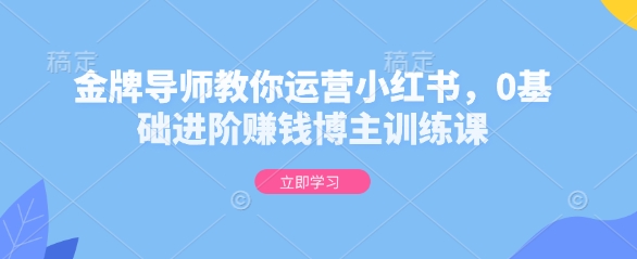 金牌导师教你运营小红书，0基础进阶赚钱博主训练课-菜菜网创