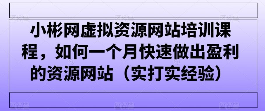 小彬网虚拟资源网站培训课程，如何一个月快速做出盈利的资源网站(实打实经验)-菜菜网创