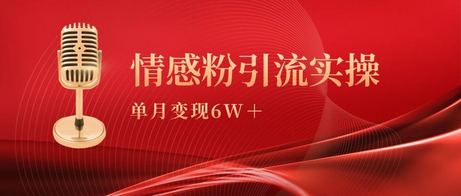 (9473期)单月变现6w+，情感粉引流变现实操课-菜菜网创