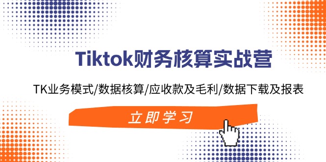 Tiktok财务核算实战营：TK业务模式/数据核算/应收款及毛利/数据下载及报表-菜菜网创