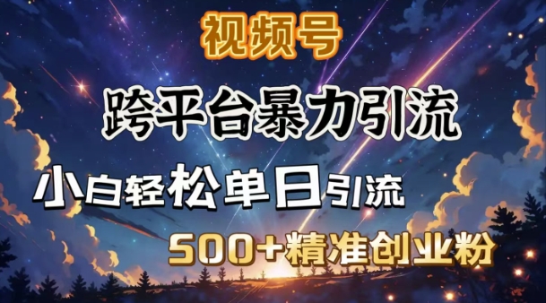 跨平台暴力引流，私域完美闭环，日引500+精准创业粉-菜菜网创