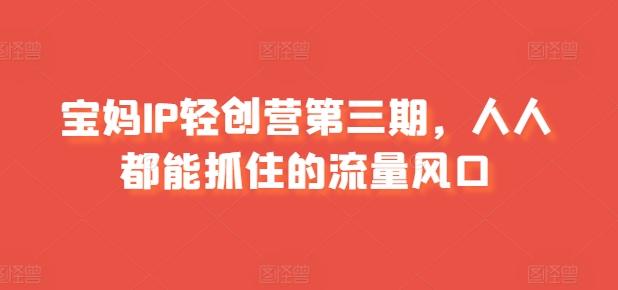 宝妈IP轻创营第三期，人人都能抓住的流量风口-菜菜网创