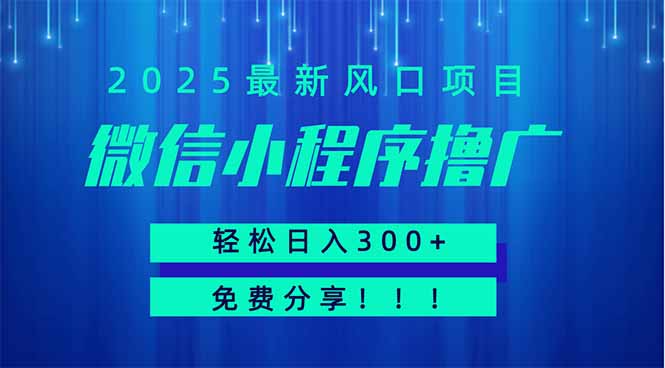 微信小程序撸广，最新风口项目，日入300+ 免费分享 可批量操作 小白可…-菜菜网创