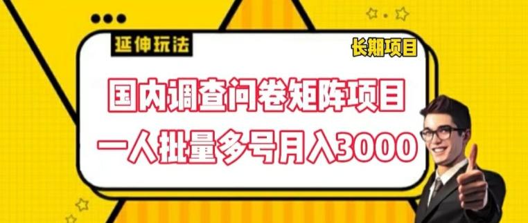 国内调查问卷矩阵项目，一人批量多号月入3000【揭秘】-菜菜网创