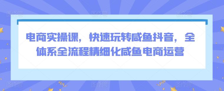 电商实操课，快速玩转咸鱼抖音，全体系全流程精细化咸鱼电商运营-菜菜网创
