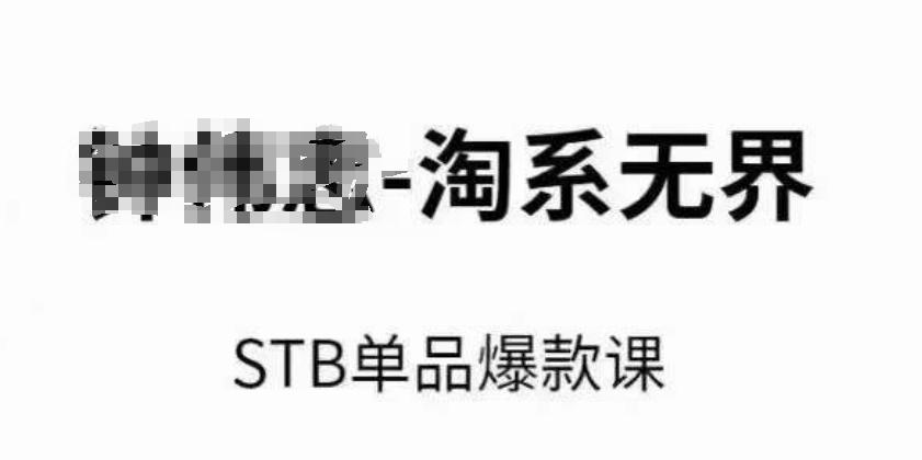 淘系无界STB单品爆款课(2024)，付费带动免费的核心逻辑，万相台无界关键词推广/精准人群的核心-菜菜网创