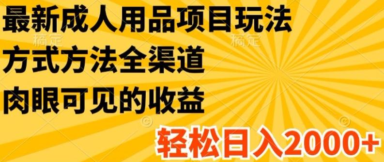 最新成人用品项目玩法，方式方法全渠道，轻松日入2K+【揭秘】-菜菜网创