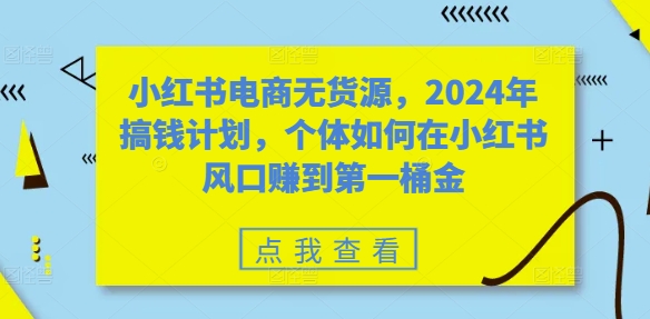 小红书电商无货源，2024年搞钱计划，个体如何在小红书风口赚到第一桶金-菜菜网创
