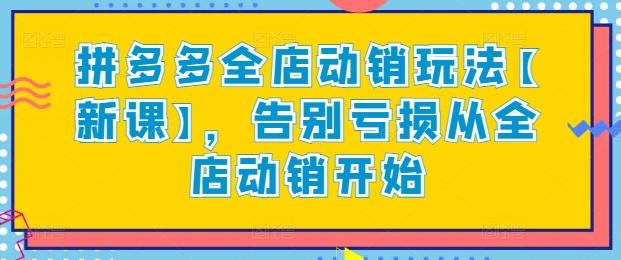 拼多多全店动销玩法【新课】，告别亏损从全店动销开始-菜菜网创