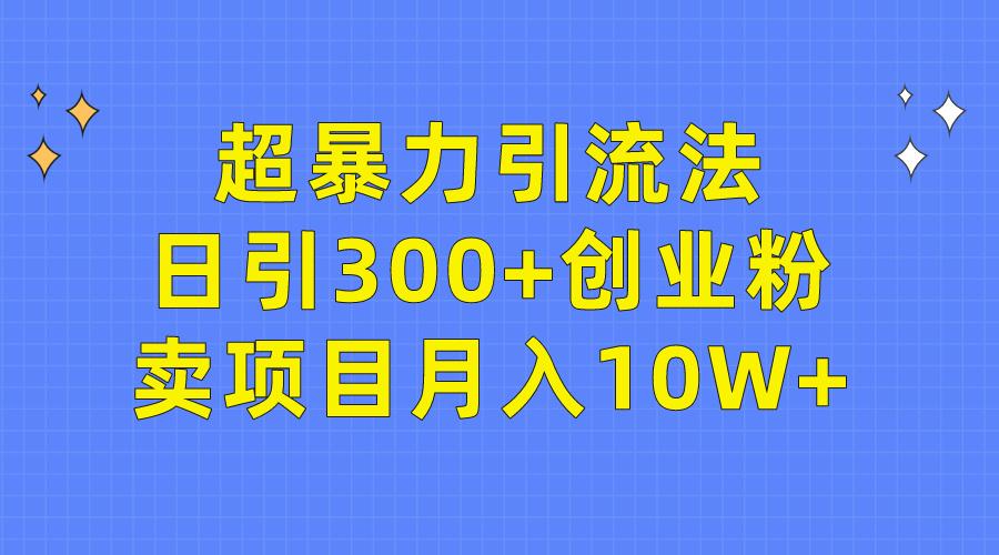 (9954期)超暴力引流法，日引300+创业粉，卖项目月入10W+-菜菜网创