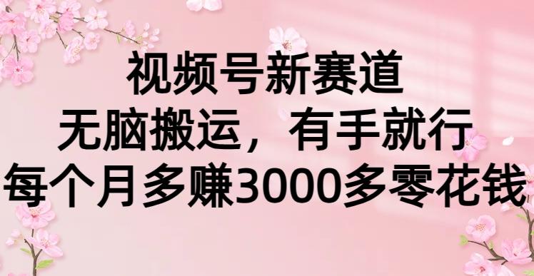 (9278期)视频号新赛道，无脑搬运，有手就行，每个月多赚3000多零花钱-菜菜网创