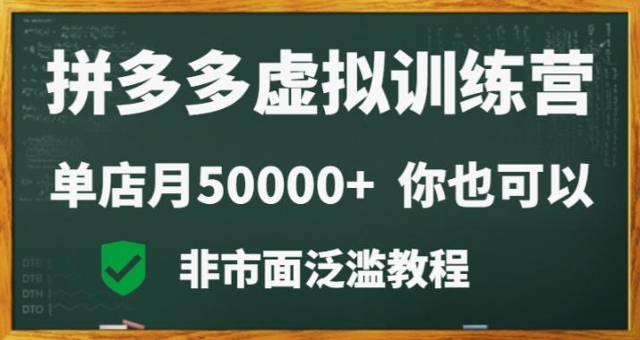 拼多多虚拟电商训练营月入30000+你也行，暴利稳定长久，副业首选-菜菜网创